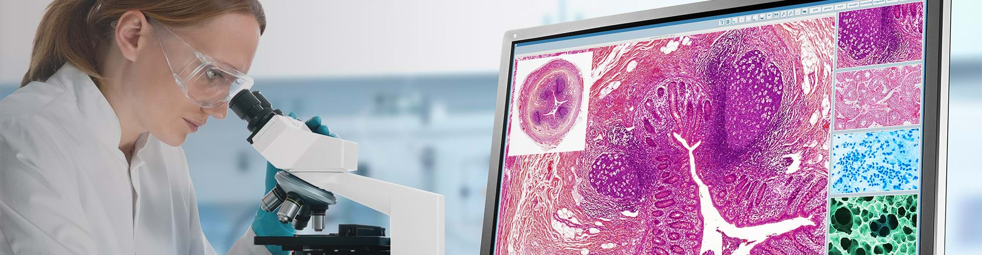 Pathology Monitors For Pathological Diagnostics | EIZO