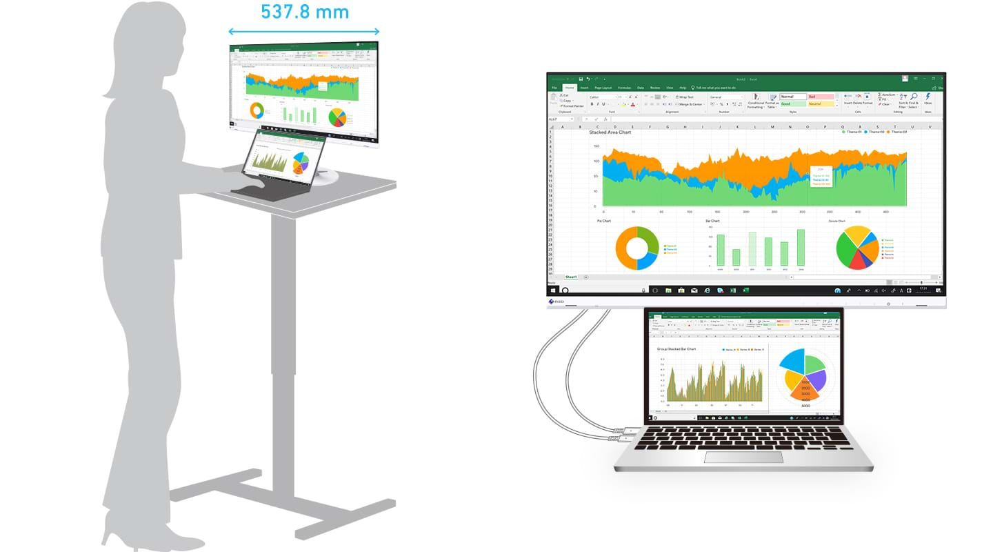 FlexScan EV2460 Monitor | EIZO